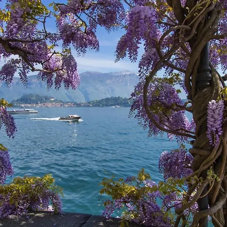 Apartament Bellavista Grande